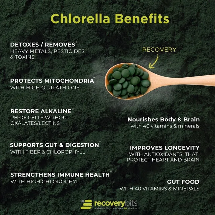 Algae Bits Recovery Canister (sm)