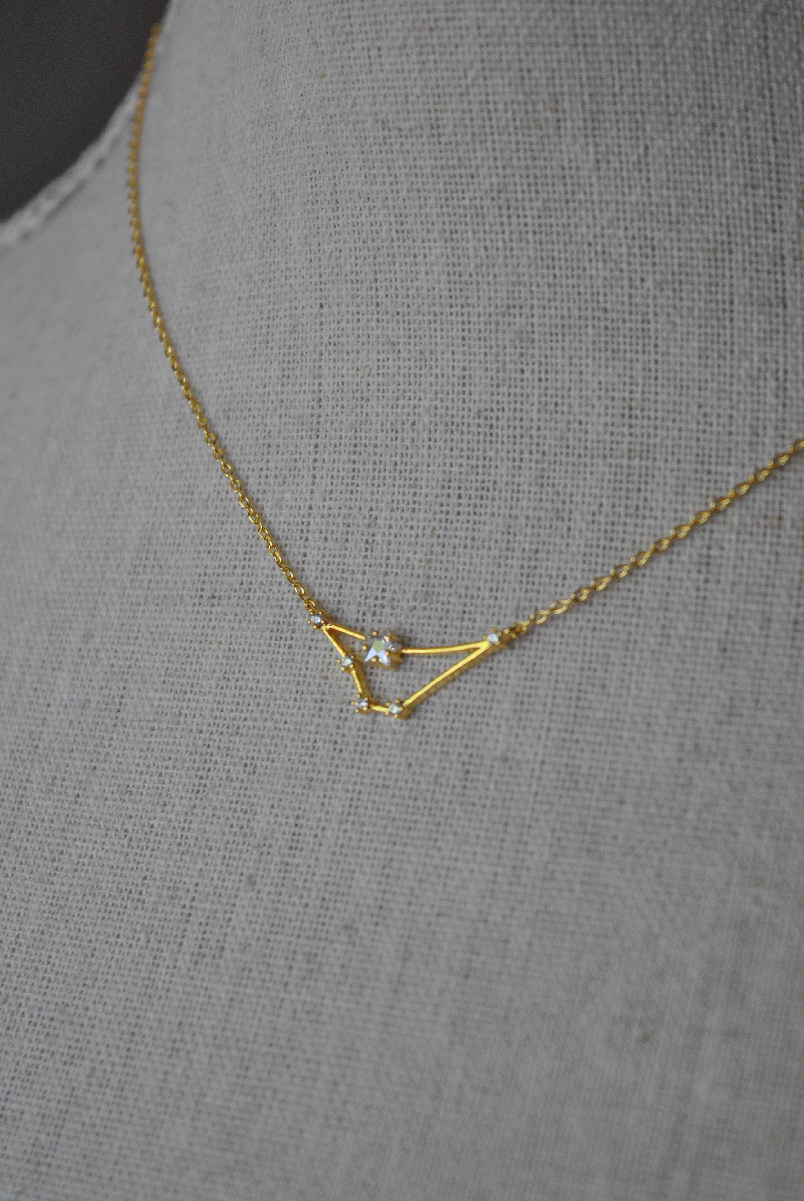 CAPRICORN DELICATE NECKLACE