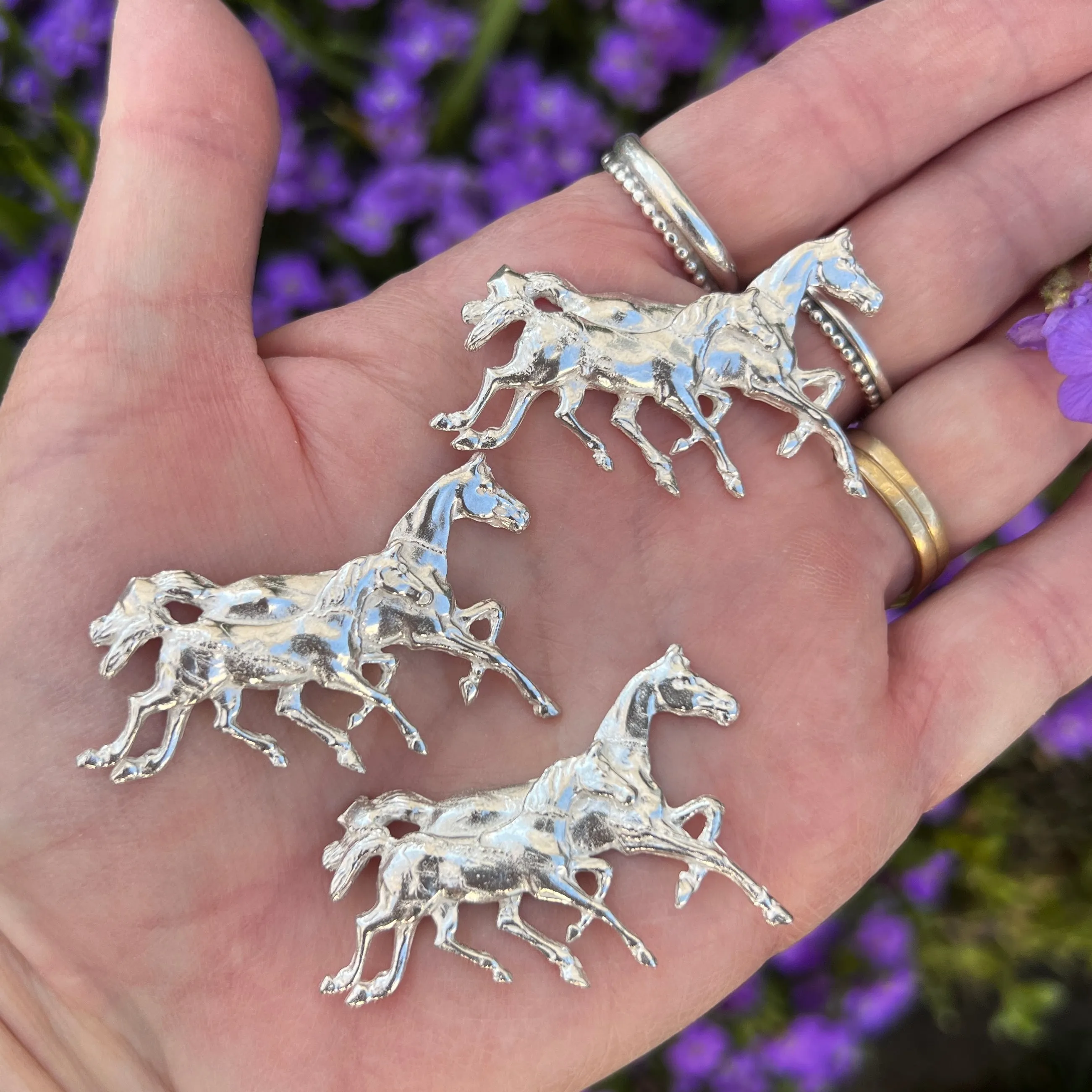 Casting - Mare and Foal Horses