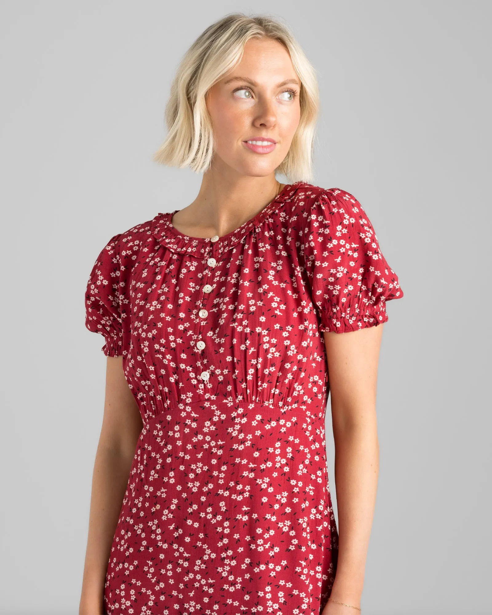 Delicate Dress