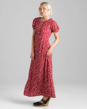 Delicate Dress