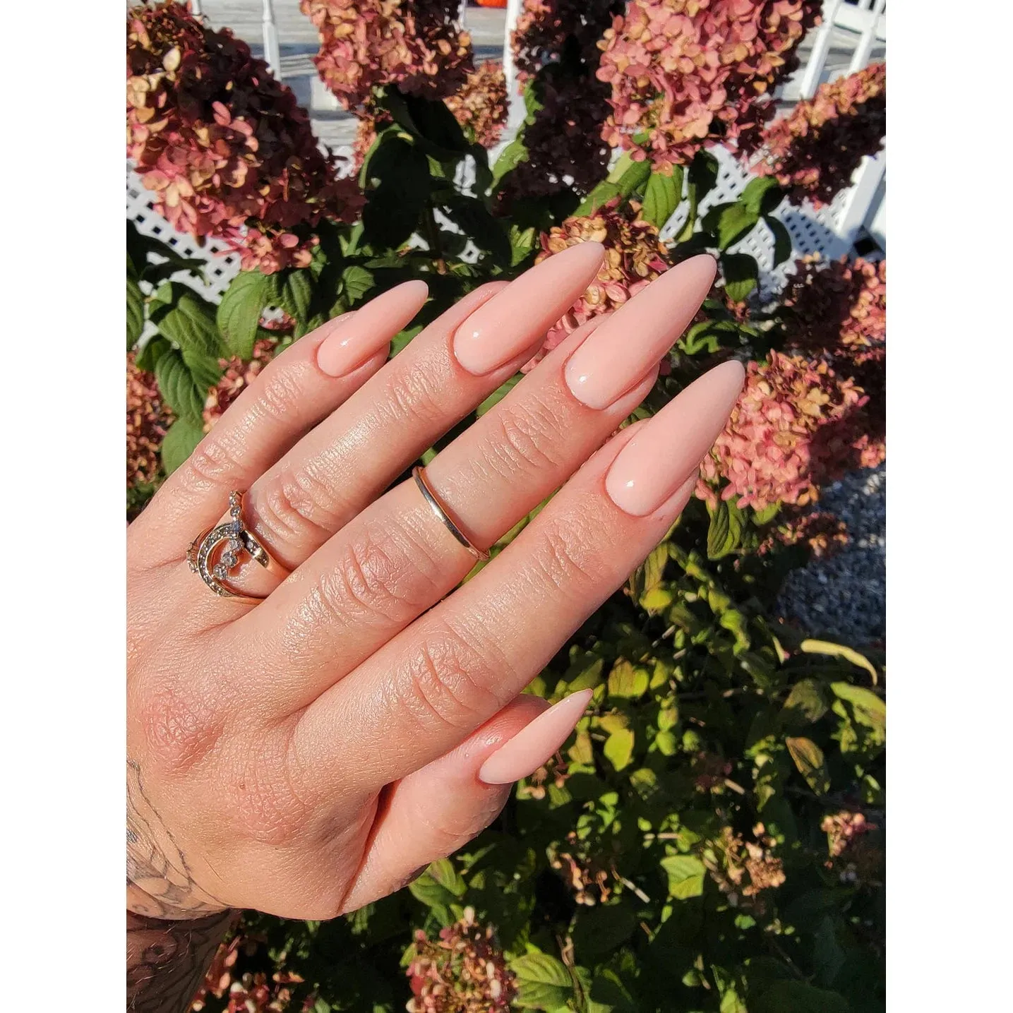 Delicate Peach Builder Lexy Line Gel