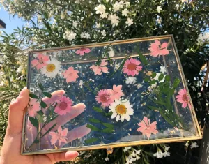 Delicate Pink ♡ Floral Jewelry/Keepsake Box ♡