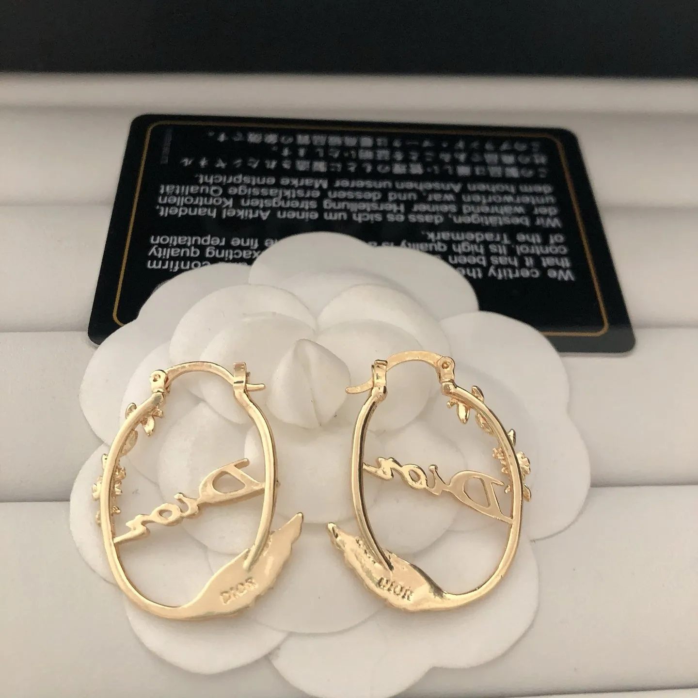 Delicate Swan Shaped Earrings