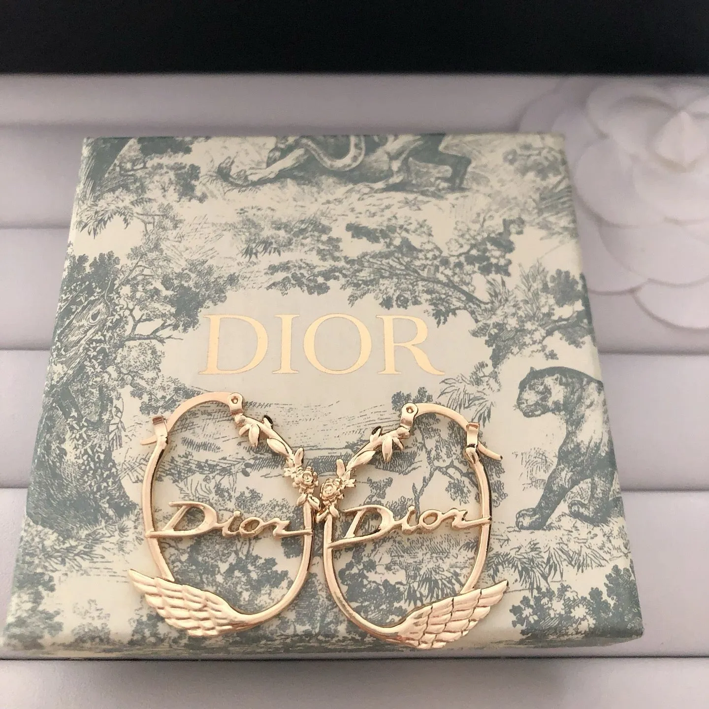 Delicate Swan Shaped Earrings