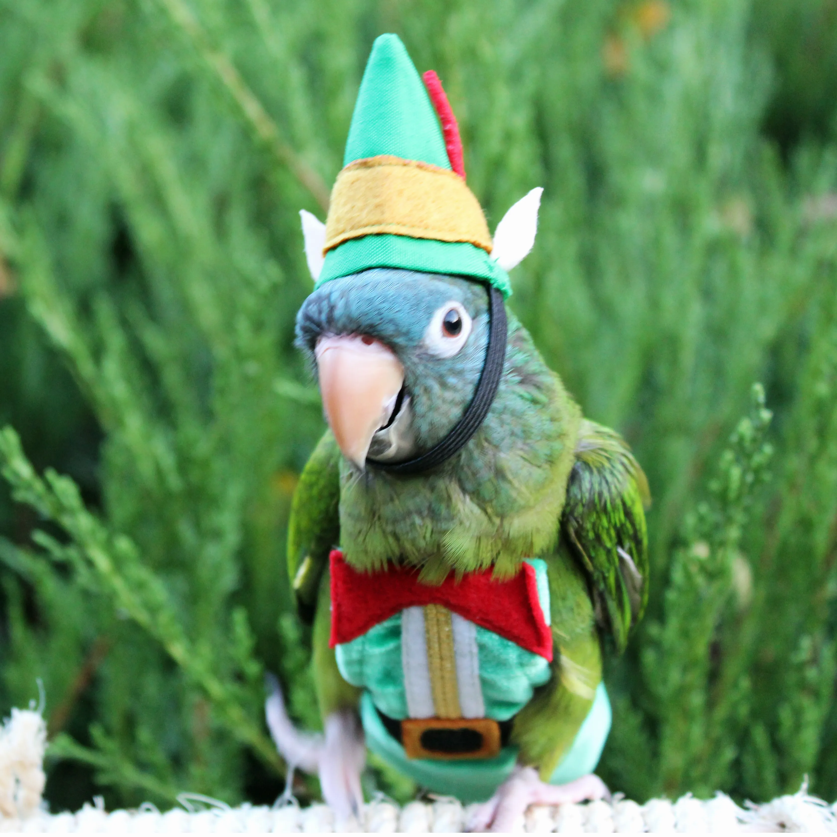 Elf BirdieBonnet