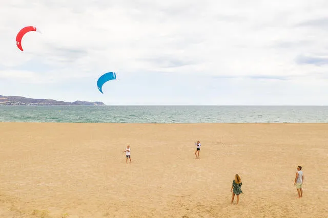 Go v1 trainer kite