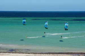 Shark Bay - Australia