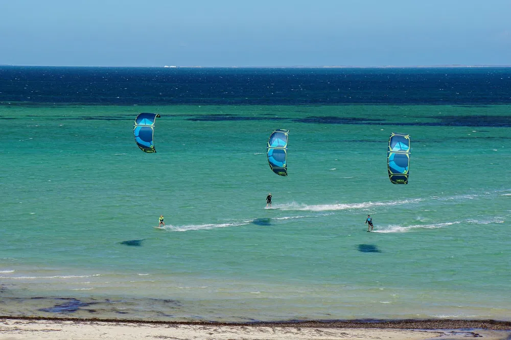 Shark Bay - Australia