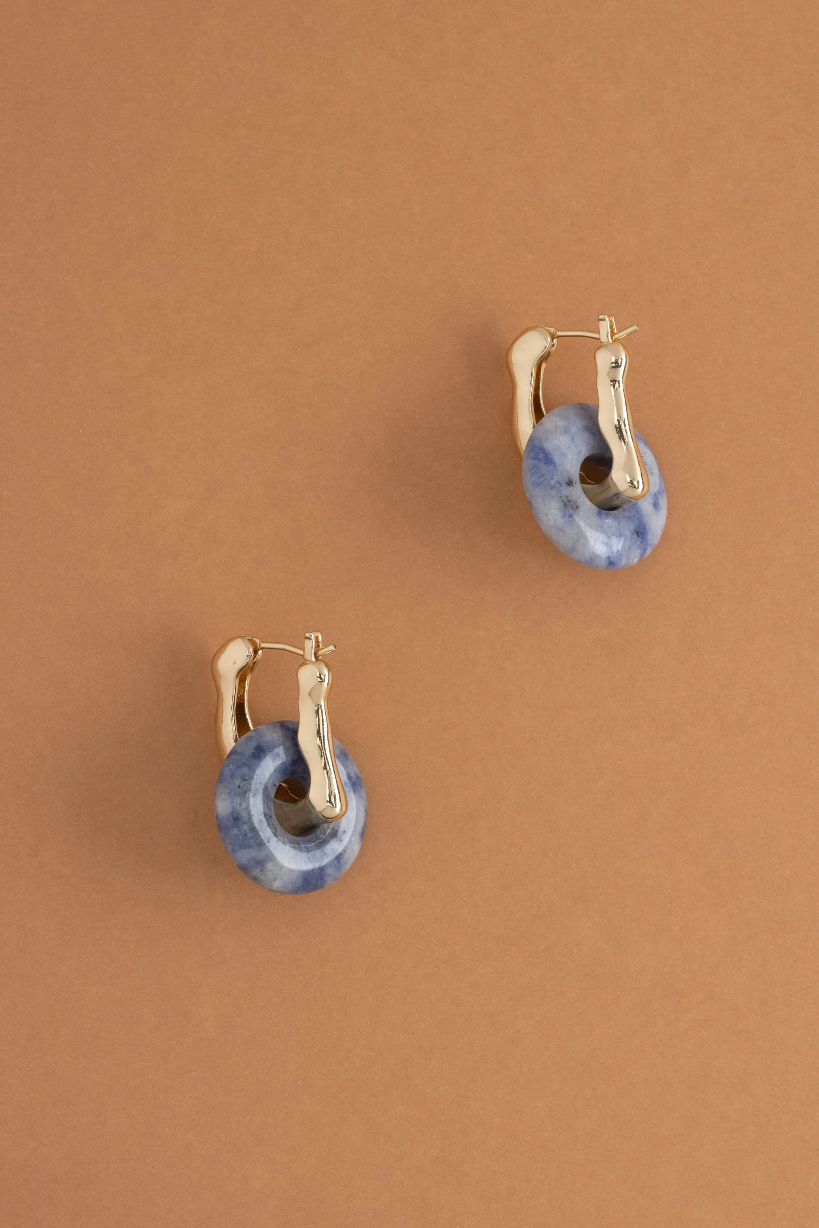 Sodalite Disc Earrings