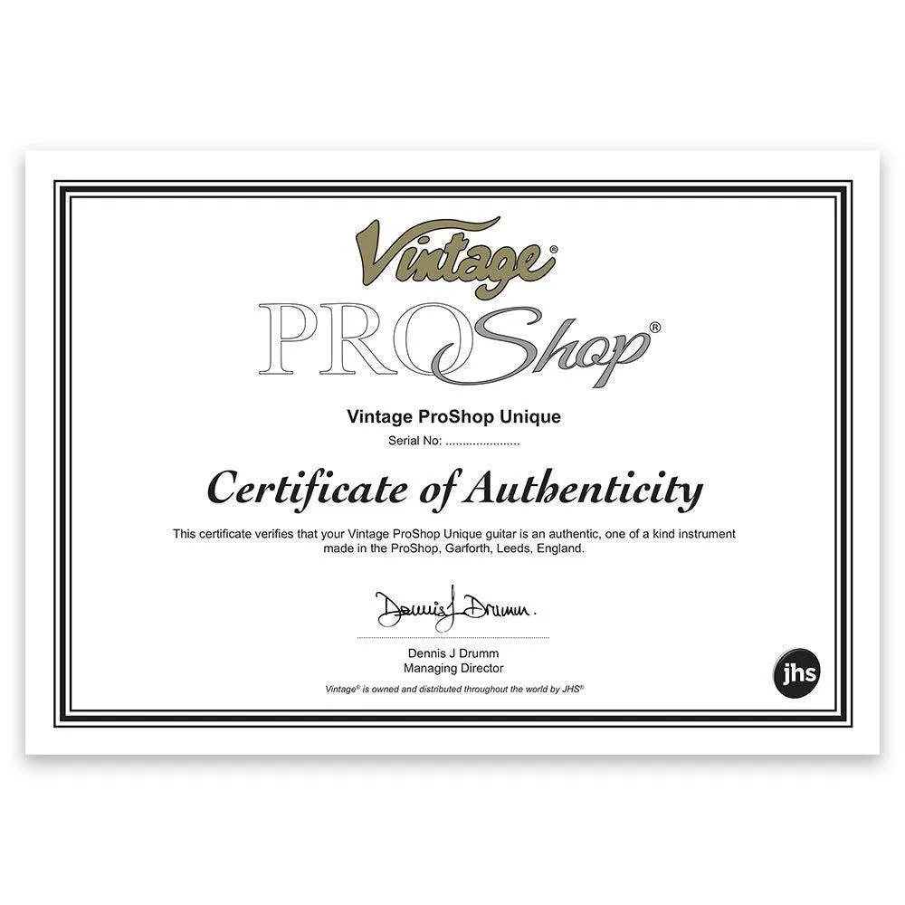 SOLD - Vintage V6 ProShop Custom Build ~ Relic Ventura Ming Green