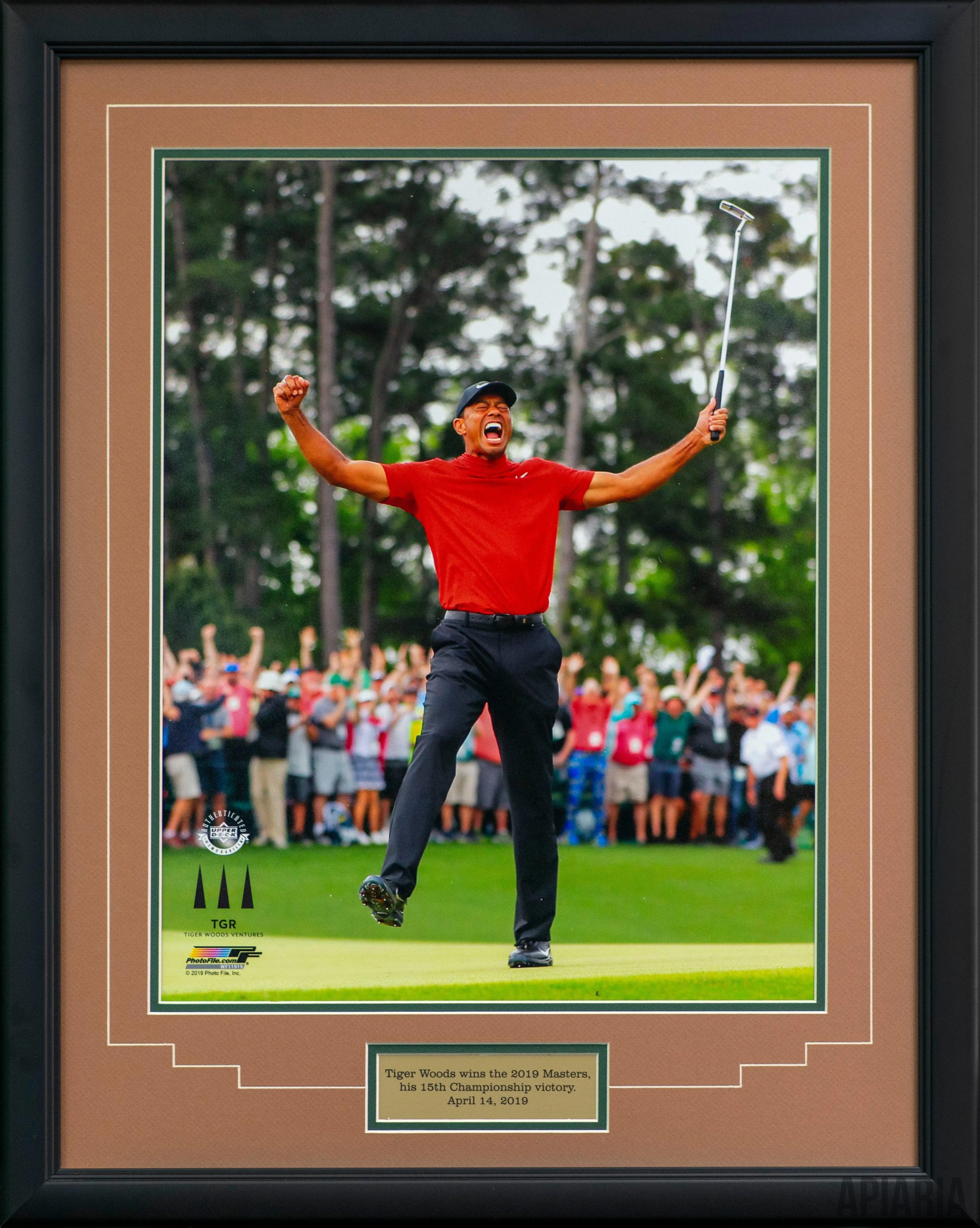 Tiger Woods Wins The 2019 Masters