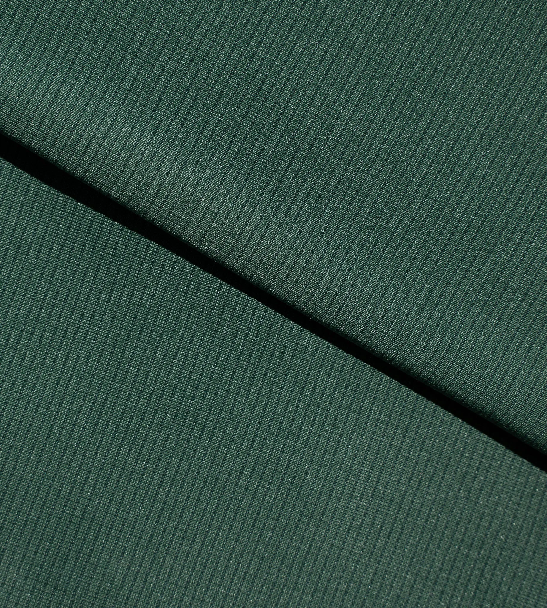 TIMELESS HOODIE - SAGE