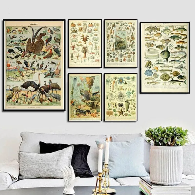 Vintage Ocean Microbes Sea Life Wall Chart Poster Print